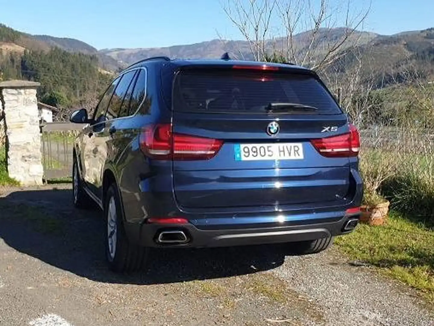 BMW X5 X5 xDrive 40dA Azul - 2