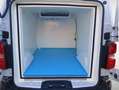 Citroen Jumpy ISOTERMO FURGON M DIESEL 150CV MANUAL Blanco - thumbnail 6