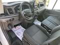 Ford Transit 310 96kW L2H2 Van Trend FWD MHEV Blanco - thumbnail 8