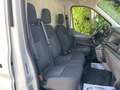 Ford Transit 310 96kW L2H2 Van Trend FWD MHEV Blanco - thumbnail 12