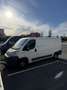 Fiat Ducato - thumbnail 4