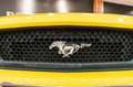 Ford Mustang 5.0 Ti-VCT V8 307kW  GT A.(Fast.) Gelb - thumbnail 20