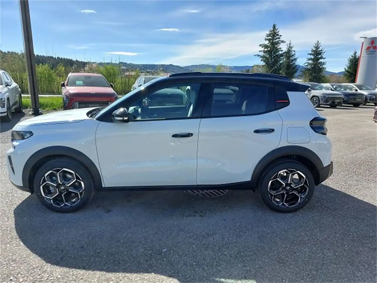 Citroen C3 Turbo 100 S&S 6-Gang Max -Winterpaket Wit - 2