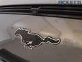Ford Mustang Mach-E AWD Elettrico Extended 351CV Grau - thumbnail 22