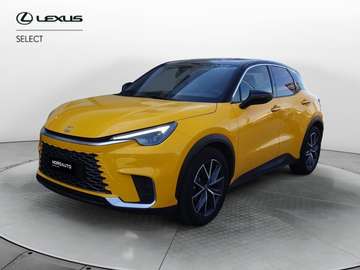 Hybrid Emotion