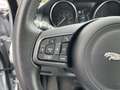 Jaguar P250 SE AWD +ACC+HEADUP+LEDER+PANO Silber - thumbnail 22