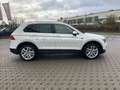 Volkswagen Tiguan Highline DSG 2.0TDI 4Motion/Head-Up/Pano Blanc - thumbnail 4