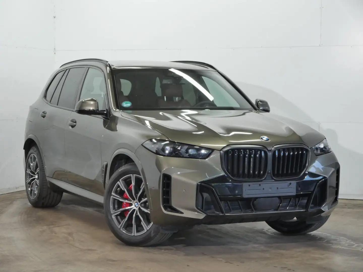 BMW X5 xDrive40d Standheizung | M Sportpaket pro Verde - 2