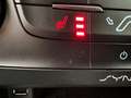 Ford Focus Wagon 1.0 First Edition Cruise C, Stoelverw, Stuur Zwart - thumbnail 18