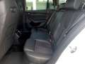 Skoda Octavia Combi "RS PLUS" 4x4 2,0 TDI DSG *19 ZOLL / RS EXKLUSIV INTERIEUR / MATRIX-LED / DCC / MASSAGE & MEMORY / HEAD-UP* Weiß - thumbnail 13