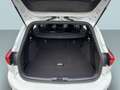 Ford Focus Turnier 1.0 EcoBoost Hybrid Aut. ST-LINE Bianco - thumbnail 10