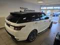 Land Rover Range Rover Sport Autobiography Dynamic SDV8 Weiß - thumbnail 2
