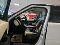 Land Rover Range Rover Sport Autobiography Dynamic SDV8 Weiß - thumbnail 7