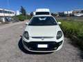 Fiat Punto Evo 1.3 Mjt 75 CV MOTORE ROTTO Bianco - thumbnail 2