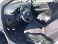 Fiat Punto Evo 1.3 Mjt 75 CV MOTORE ROTTO Bianco - thumbnail 7