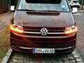 Volkswagen T6 Kombi Westfalia Club Joker 2.0TDI, DSG (150PS) Barna - thumbnail 13