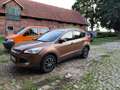 Ford Kuga Kuga 2.0 TDCi 4x4 Aut. Titanium Bronze - thumbnail 1