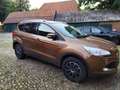 Ford Kuga Kuga 2.0 TDCi 4x4 Aut. Titanium Bronze - thumbnail 2