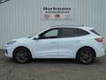 Ford Kuga 2.5 PHEV 225PK 52.832 KM ST-LINE NIEUWSTAAT Bianco - thumbnail 4