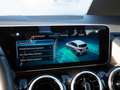 Mercedes-Benz B 250 BURM PREMIUM PROGRESSIVE KAMERA SPUR PDC Grau - thumbnail 19