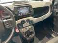 Fiat Panda Panda Cross 1.0 FireFly S&S Hybrid Nero - thumbnail 13