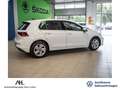Volkswagen Golf VIII LIFE TSI+ALU 16''+ACC+LED+SITZHEIZUNG+APP CON Blanco - thumbnail 3