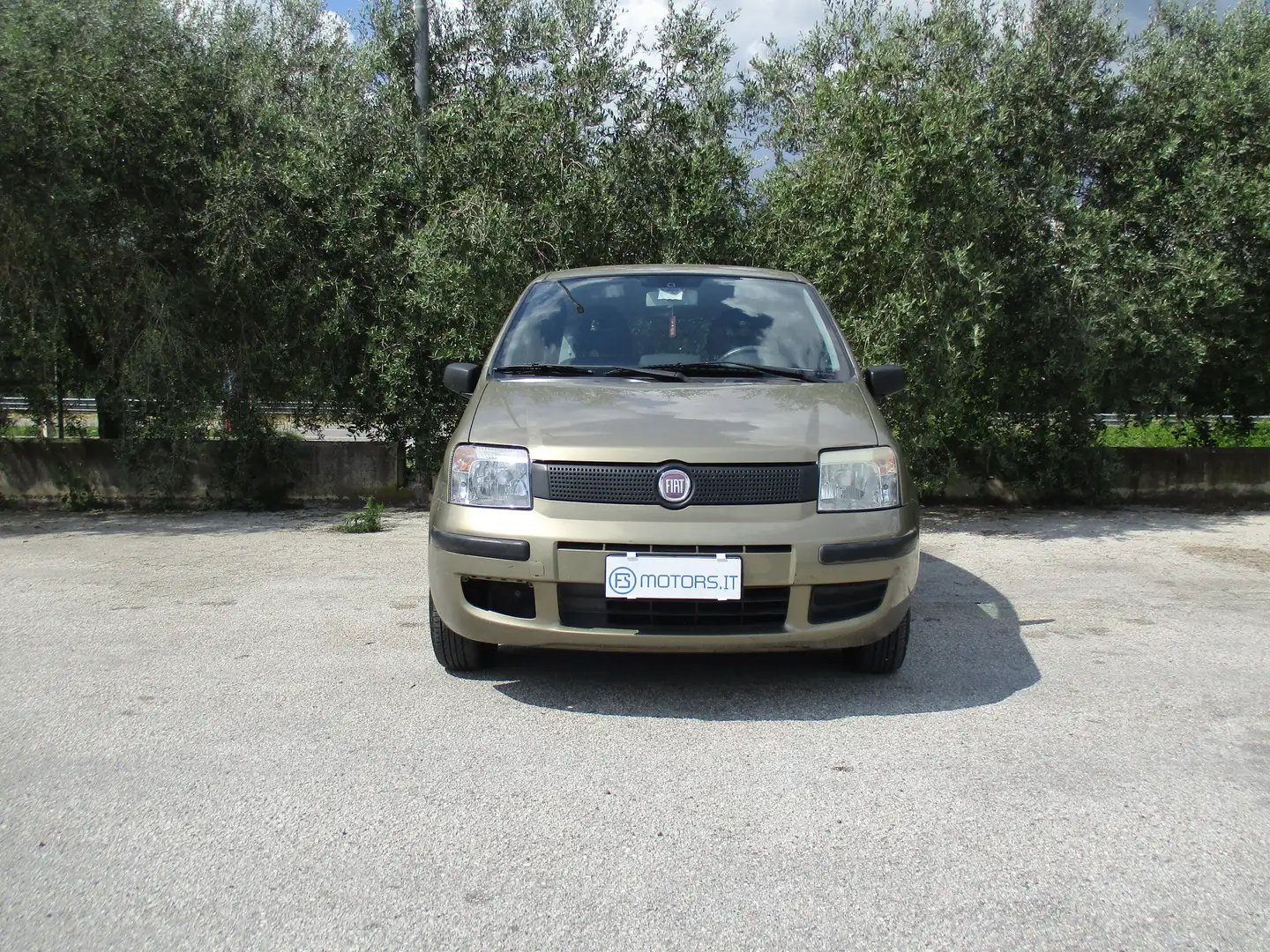 Fiat Panda ACTIVE Oro - 2