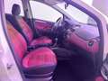 Fiat Punto Evo 1.4 5 porte Emotion Natural Power Wit - thumbnail 15