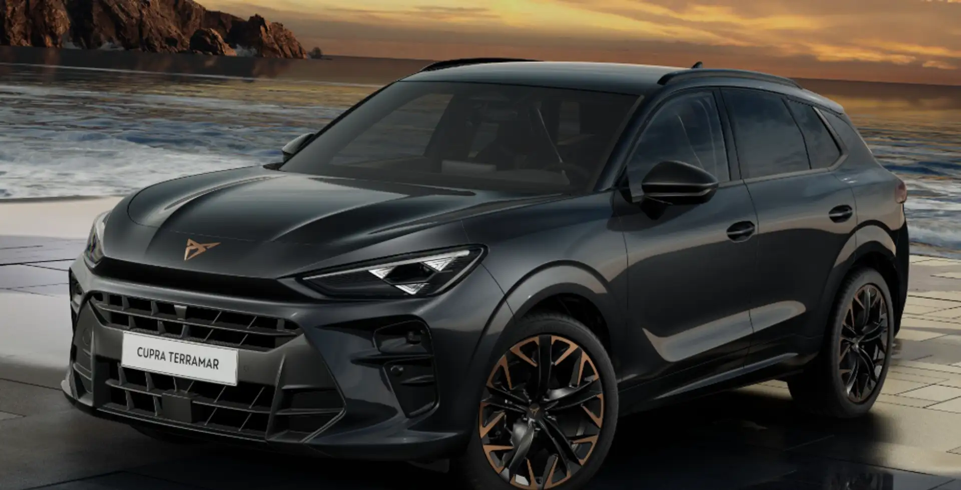 CUPRA Terramar 2.0 TSI 195kW VZ DSG 4Drive/ „SOFORT VERFÜGBAR"“ Grau - 1