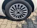 Fiat 500e MY23 Elektro  Komfort Paket Weiß - thumbnail 6
