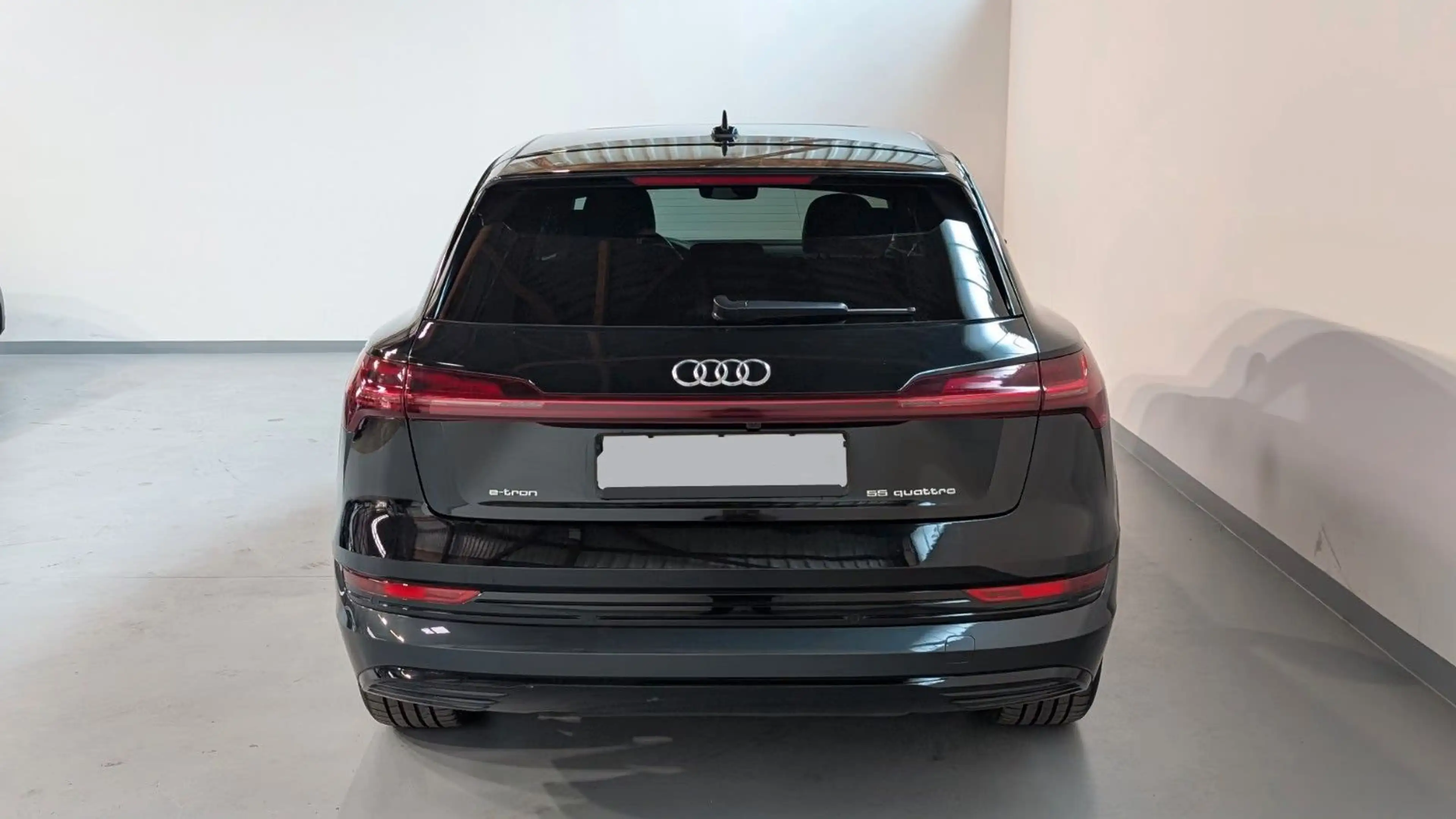 Audi e-tron 55 quattro advanced AIRKAMMEMOPANO20 — photo 5