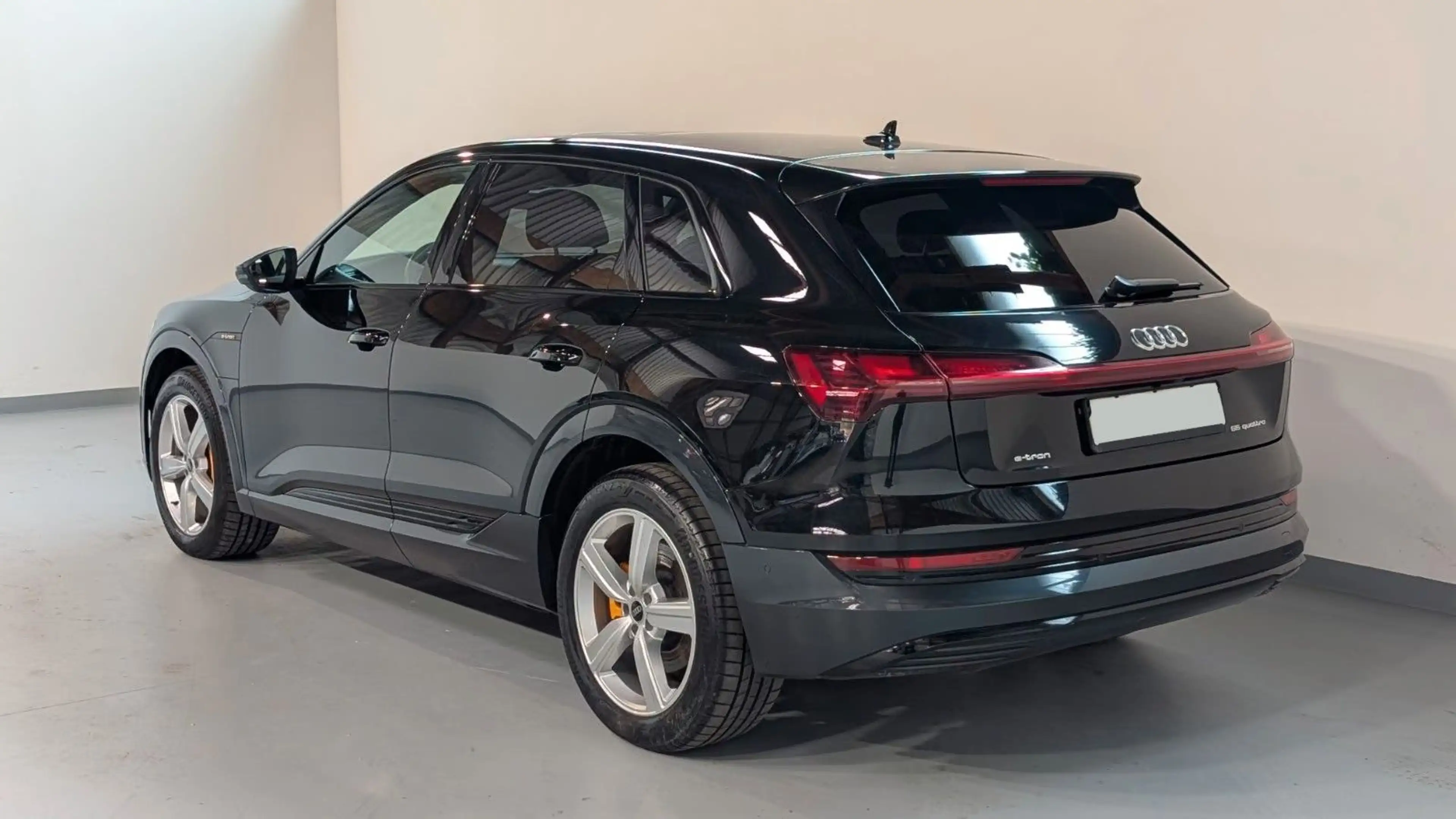 Audi e-tron 55 quattro advanced AIRKAMMEMOPANO20 — photo 4