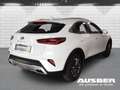 Kia XCeed Plug-in Hybrid Spirit 1.6 EU6d Navi LED El. Heckkl Blanc - thumbnail 4