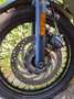 Triumph Scrambler 900 cc Groen - thumbnail 15