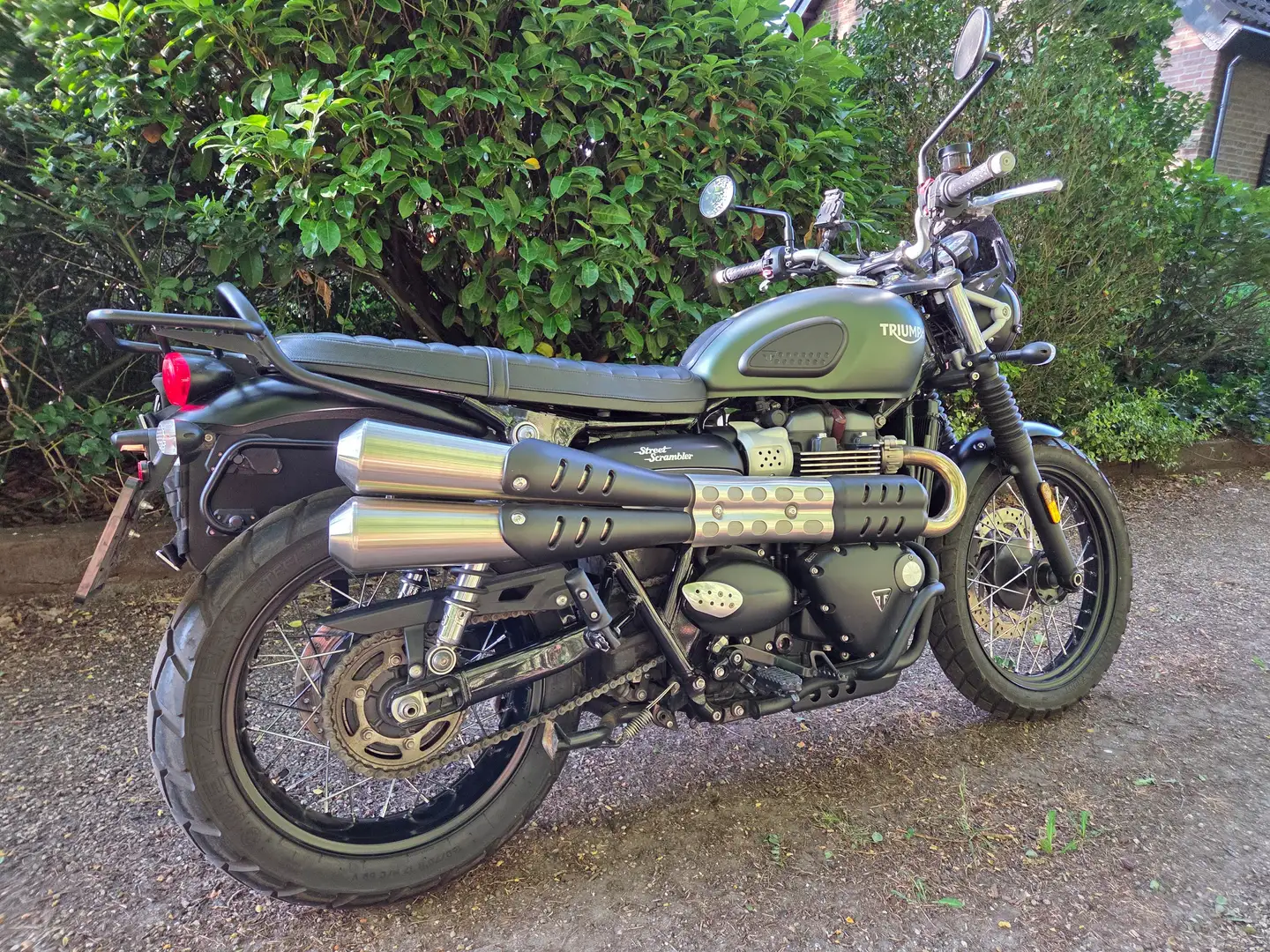 Triumph Scrambler 900 cc Groen - 1