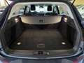 Ford Focus Sw Active hybrid AUTOCARRO N1 5 POSTI Blu/Azzurro - thumbnail 10