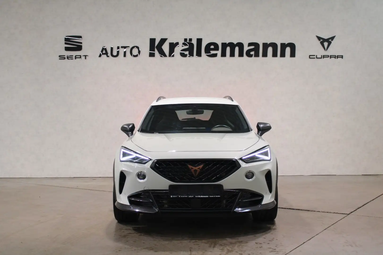 CUPRA Formentor VZ5 4Drive Edition Taiga Grey 2,5 TSI Grau - 2