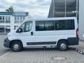 Fiat Ducato Kombi Professional 150 RS: 3M 8 Sitze Kli Bianco - thumbnail 1