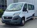 Fiat Ducato Kombi Professional 150 RS: 3M 8 Sitze Kli Bianco - thumbnail 2
