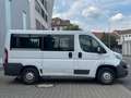 Fiat Ducato Kombi Professional 150 RS: 3M 8 Sitze Kli Bianco - thumbnail 6