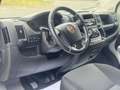 Fiat Ducato Kombi Professional 150 RS: 3M 8 Sitze Kli Bianco - thumbnail 11