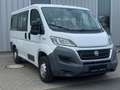 Fiat Ducato Kombi Professional 150 RS: 3M 8 Sitze Kli Bianco - thumbnail 5