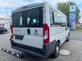 Fiat Ducato Kombi Professional 150 RS: 3M 8 Sitze Kli Bianco - thumbnail 8