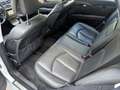 Mercedes-Benz E 320 Estate CDI Avantgarde / AUTOMAAT / NAVI / STOELKOE Gris - thumbnail 5