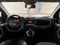 Fiat Panda 1.2 69cv E6 Easy Bianco - thumbnail 8