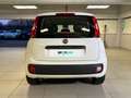 Fiat Panda 1.2 69cv E6 Easy Bianco - thumbnail 4