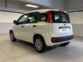 Fiat Panda 1.2 69cv E6 Easy Bianco - thumbnail 3