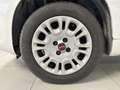 Fiat Panda 1.2 69cv E6 Easy Bianco - thumbnail 7