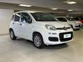 Fiat Panda 1.2 69cv E6 Easy Bianco - thumbnail 5