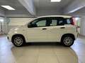 Fiat Panda 1.2 69cv E6 Easy Bianco - thumbnail 2